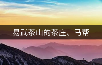 易武茶山的茶莊、馬幫