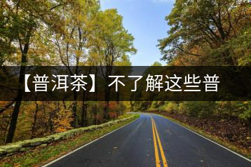 【普洱茶】不了解這些普洱茶概念，你還敢說你很懂易武茶