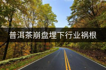 普洱茶崩盤埋下行業(yè)禍根