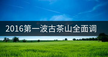 2016第一波古茶山全面調研第二站——勐海之布朗山