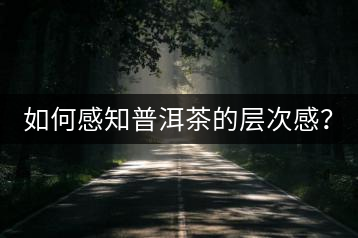 如何感知普洱茶的層次感？