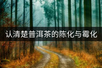 認(rèn)清楚普洱茶的陳化與霉化的區(qū)別！