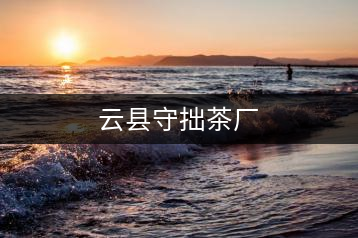 云縣守拙茶廠