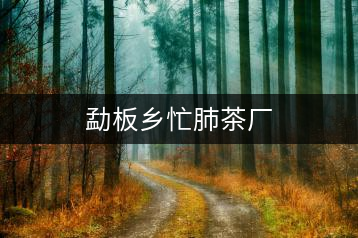 勐板鄉(xiāng)忙肺茶廠