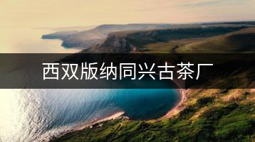 西雙版納同興古茶廠