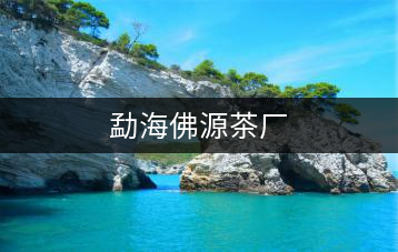 勐海佛源茶廠