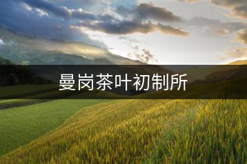 曼崗茶葉初制所