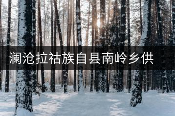 瀾滄拉祜族自縣南嶺鄉(xiāng)供銷社上黑山茶廠