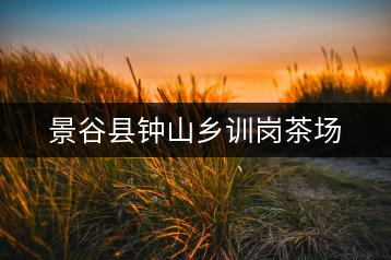 景谷縣鐘山鄉(xiāng)訓(xùn)崗茶場