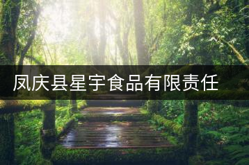 鳳慶縣星宇食品有限責(zé)任公司