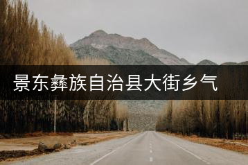 景東彝族自治縣大街鄉(xiāng)氣力村茶廠