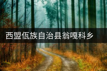 西盟佤族自治縣翁嘎科鄉(xiāng)龍坎茶廠