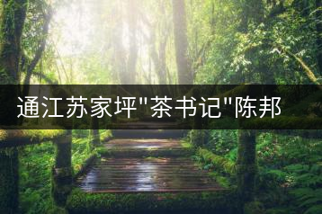 通江蘇家坪”茶書記”陳邦宏帶領(lǐng)村民種茶致富