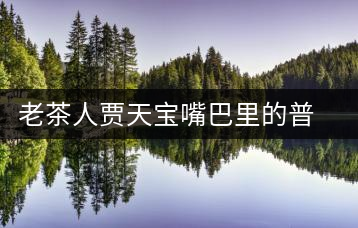 老茶人賈天寶嘴巴里的普洱茶地理