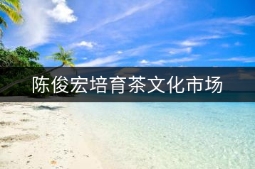 陳俊宏培育茶文化市場(chǎng)