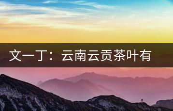 文一?。涸颇显曝暡枞~有限公司總經(jīng)理