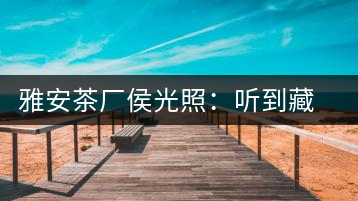 雅安茶廠侯光照:聽到藏茶時代的腳步聲