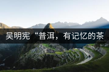 吳明憲“普洱，有記憶的茶品”