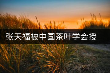 張?zhí)旄１恢袊枞~學(xué)會授予終身成就獎