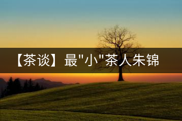 【茶談】最”小”茶人朱錦:喝茶，需要用心