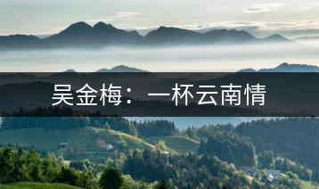 吳金梅:一杯云南情