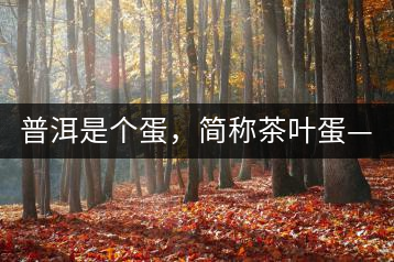 普洱是個(gè)蛋，簡(jiǎn)稱茶葉蛋——楊鎮(zhèn)瑜訪談錄