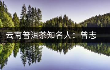 云南普洱茶知名人：曾志揮