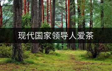 現(xiàn)代國家領(lǐng)導(dǎo)人愛茶