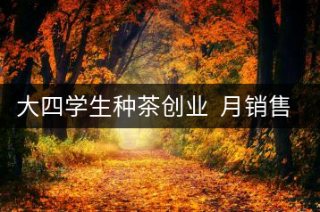 大四學生種茶創(chuàng)業(yè) 月銷售額超五十萬