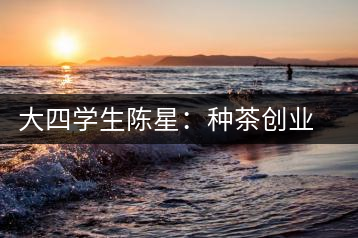 大四學生陳星：種茶創(chuàng)業(yè) 月銷售額超五十萬