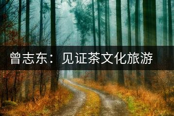 曾志東:見(jiàn)證茶文化旅游節(jié)對(duì)名山茶產(chǎn)業(yè)的推動(dòng)和發(fā)展