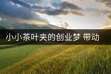 小小茶葉夾的創(chuàng)業(yè)夢 帶動當?shù)卮迕窆餐赂? decoding=