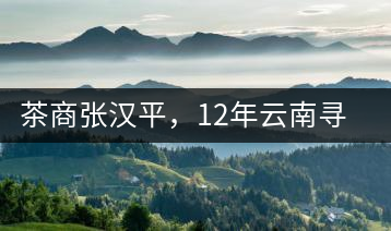 茶商張漢平，12年云南尋茶路