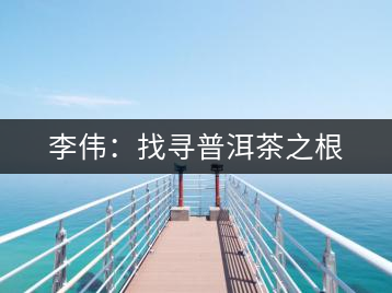 李偉：找尋普洱茶之根