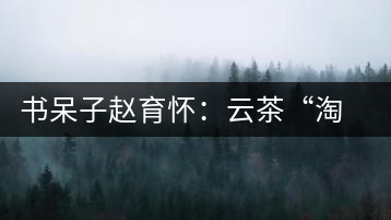 書(shū)呆子趙育懷：云茶“淘品牌”的進(jìn)化之路