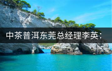 中茶普洱東莞總經(jīng)理李英:做茶應(yīng)該“心思簡(jiǎn)靜”