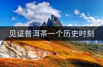 見證普洱茶一個歷史時刻