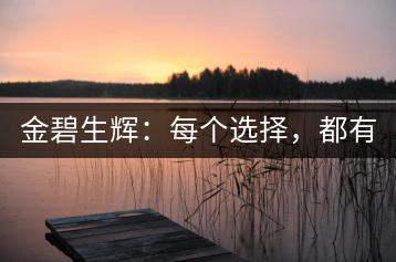 金碧生輝：每個(gè)選擇，都有選擇的理由