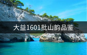 大益1601批山韻品鑒