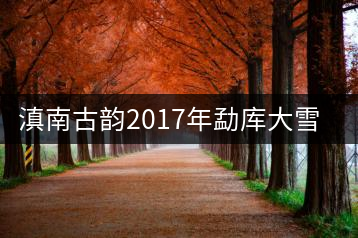 滇南古韻2017年勐庫大雪山開湯品鑒