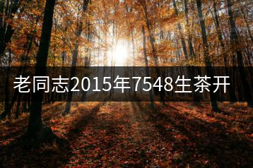 老同志2015年7548生茶開湯