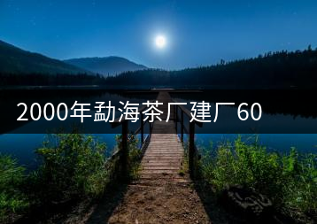 2000年勐海茶廠建廠60周年紀念餅開湯品鑒