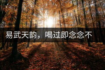 易武天韻，喝過即念念不忘的茶中皇后