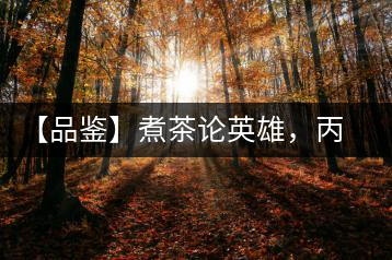 【品鑒】煮茶論英雄，丙申年易武麻黑
