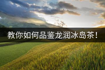 教你如何品鑒龍潤冰島茶！
