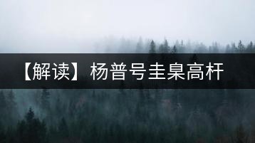 【解讀】楊普號圭臬高桿茶：形高、氣足、韻遠(yuǎn)的一款茶
