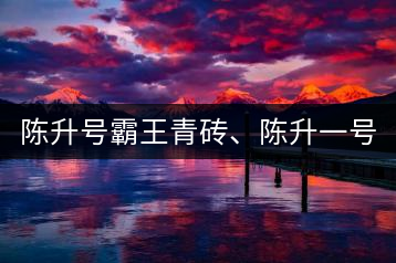 陳升號霸王青磚、陳升一號品鑒【圖】