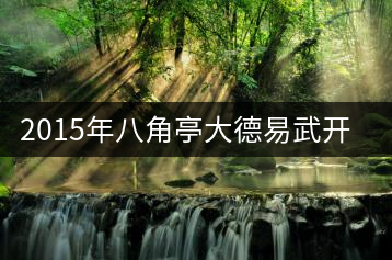 2015年八角亭大德易武開湯
