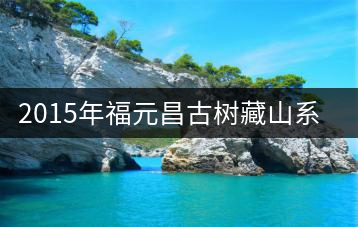 2015年福元昌古樹藏山系列——彎弓開湯品鑒