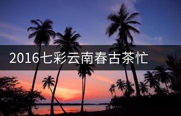 2016七彩云南春古茶忙肺開(kāi)湯——?jiǎng)側(cè)岵?jì)的謙謙君子